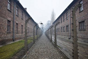 Zelfgeleide tour Auschwitz en Birkenau vanuit Krakau